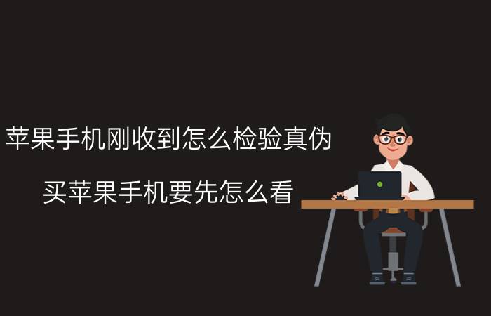 苹果手机刚收到怎么检验真伪 买苹果手机要先怎么看？